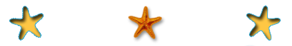 starfish